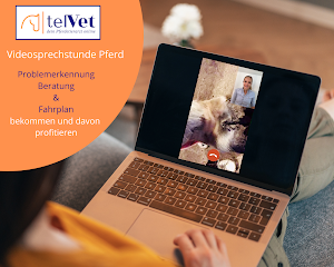 telVet - Dein Pferdetierarzt online place picture